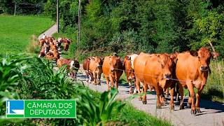  Discussão e votação de propostas legislativas - 10/06/2026 10:00