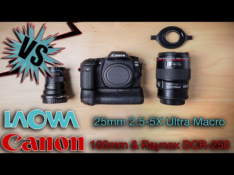 Laowa 25mm VS Canon 100mm with Raynox DCR-250 [Which has better image quality, sharpness?!]