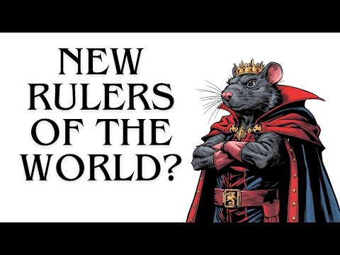 Why it sucks to be born during The Black Death