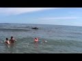 Русские непобедимы! 
