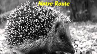 Mouloudji Mon Pot le GITAN