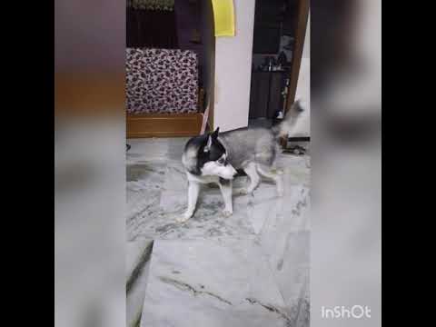 short#vidio#jayasri 😄