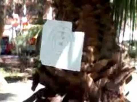 el mini torneo de arco (alan vs saul)