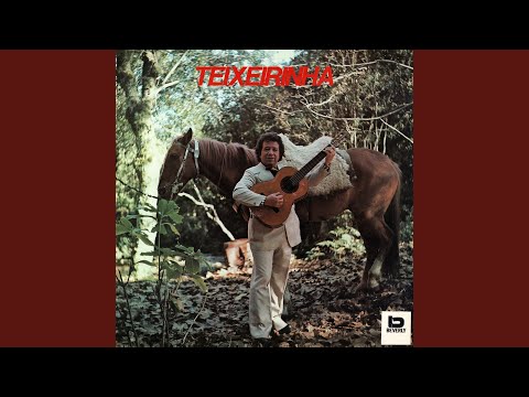 Um Mundo de Amor - Teixeirinha