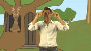 Rémi, le chanteur vedette des tout petits chante "Le Grand Cerf"