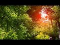 Paadi Thodiyiletho DON T RUSH NEW REMIX REMIX GURU