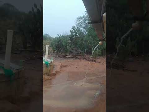 Chuva em Avelino Lopes no Sul do Piauí