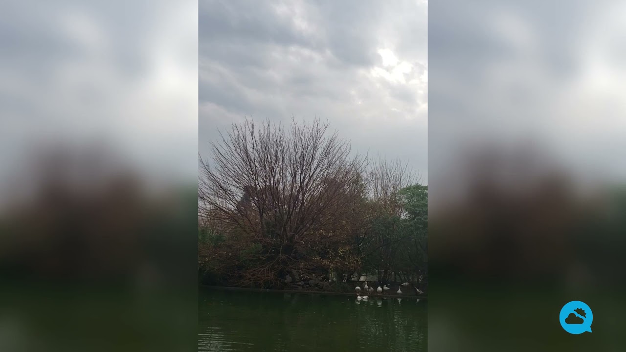 youtube video id=SFaZkZ91vZ8