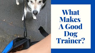 How To Find A Reputable Dog Trainer