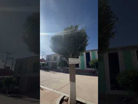 San Lucas Chuquisaca 🇧🇴 #folklore #cultura #música