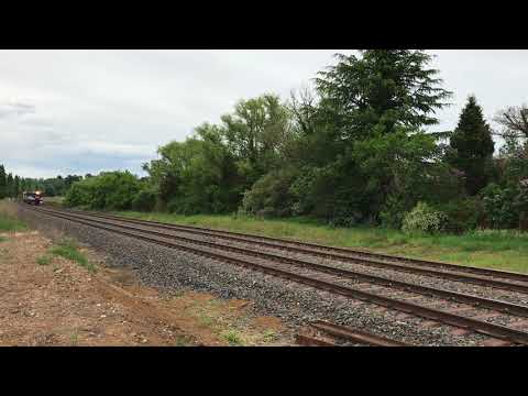 CM3308,CM3309,GL111 on 8290 Departing Orange