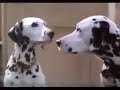 101 Dalmatians Chocolate Bar Ad 1996