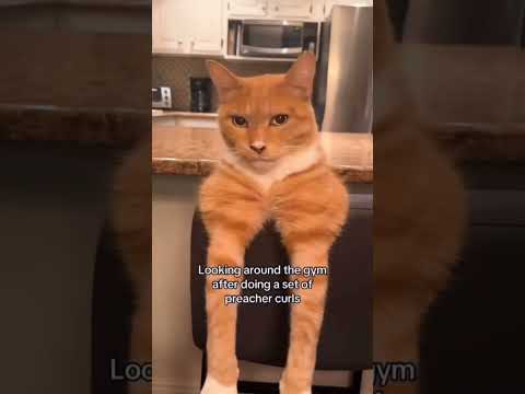 Share it with your friends 😂