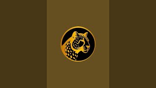 Download lagu C h e e t a h is live! නිදි නැති සෙට් එක කෝ mp3 Download lagu C h e e t a h is live! නිදි නැති සෙට් එක කෝ mp3