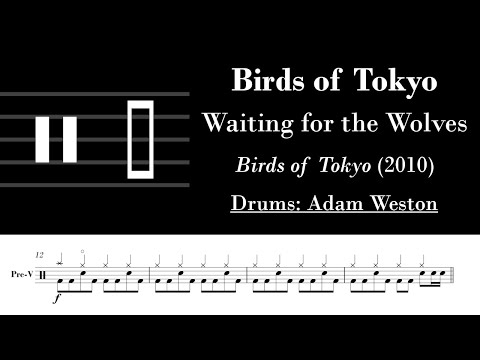 Waiting For The Wolves - Birds of Tokyo