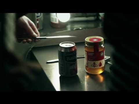 Dazzled Kid - Yes No Maybe | ZUBB Sessions