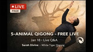 The REAL SECRET to Vitality and Emotional Balance with 5-Animal Qigong