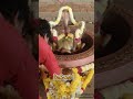 ಶಿವನಾಗ ShivaNaga Shorts YouTube Shorts Temple