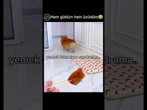 bi kilo et ısmarla hemen😂