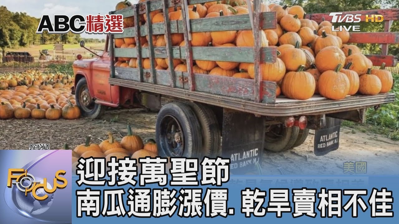 迎接萬聖節 南瓜通膨漲價、乾旱賣相不佳