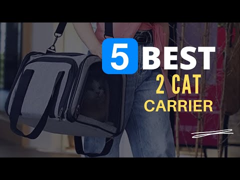 ⭕ Top 5 Best Cat Carrier for Two Cats 2022 [Review and Guide]