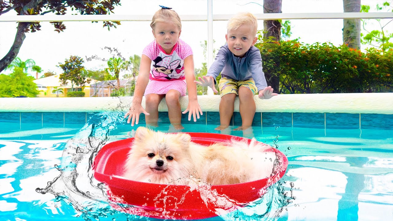 Kids found puppy in the pool
