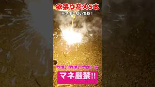 欲張り花火は危険!?その2 ※マネしないでね！ #花火