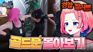 [콩밥] 골드문 몰아보기!