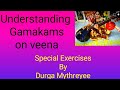 Understanding And Practicing Gamakas On Veena