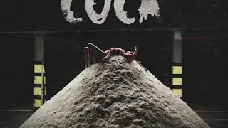 Josylvio - Coca ft. Bizzey (TEASER)