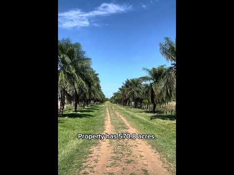 Finca en Pedasi, Los Santos.  Panamá.  Ubicada frente al mar en El Limón de Pedasi.
