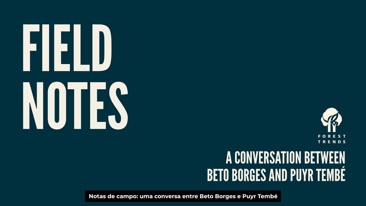 Field Notes: A Conversation Between Beto Borges and Puyr Tembé