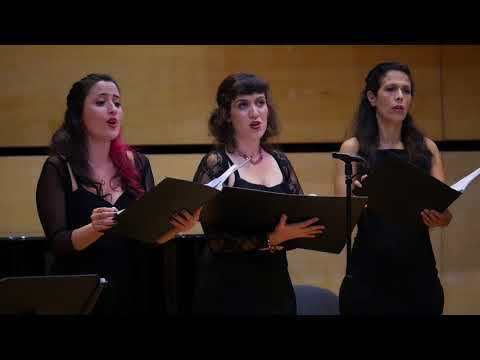Cecilia Ensemble - Daniel Akiva - The Dying Rose