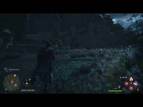 Hogwarts Legacy Walkthrough part 21