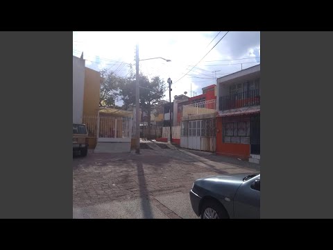 47 Trees In Guadalajara のサムネイル