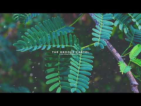 Sunday Noise & Mathias D. - The Question