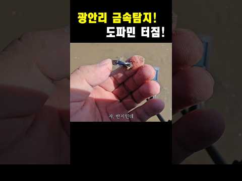 광안리 해수욕장에서 금속탐지! 도파민 터집니다!