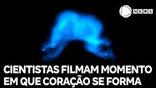 Miniatura do vídeo