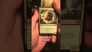 Magic the gathering daily pack opening, #385, Studying a pack of the secrets of Strixhaven!