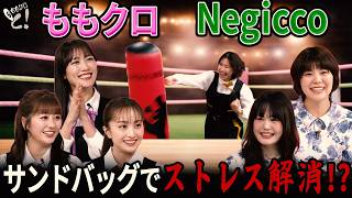 ももクロちゃんと！～アイドルのストレス解消法～