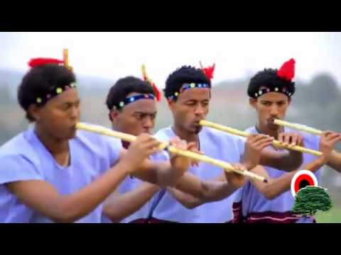 Eliyaas Kifluu (Daanii) - Hariibuu Naanjedhikaa (Oromo-Oromia)