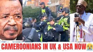 CAMEROONIANS IN SWITZERLAND, UK 🇬🇧 & USA, MESSAGE TO PAUL BIYA #paulbiya #issatchiroma