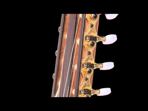 APC Luthier 8 strings