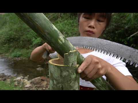 FULL VIDEO: 120 Days Solo Bushcraft, Survival Alone in the Rainforest,LIVING OFF GRID, Camping Alone