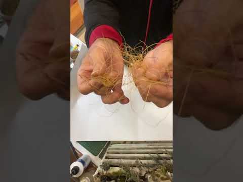 Large terrain projects. How to build: vines, glass windows, concrete weathering