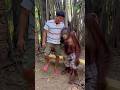 With Orangutan Shorts