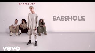 Sasshole Music Video