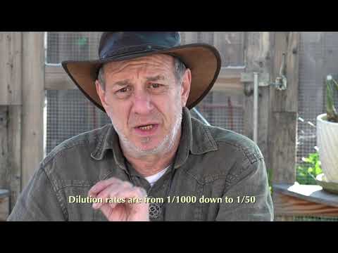 Biochar 101: What is bamboo vinegar? What are its uses?