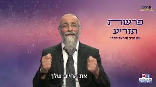 מסר לפרשת תזריע  הרב מיכאל לסרי | רק אם יש בסיס טוב תצליח#foryou  #הרבמיכאללסרי lasrilhunting (הרב מיכאל לסרי) - התמונה מוצגת ישירות מתוך אתר האינטרנט יוטיוב. זכויות היוצרים בתמונה שייכות ליוצרה. קישור קרדיט למקור התוכן נמצא בתוך דף הסרטון