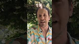 La controra del Barolo